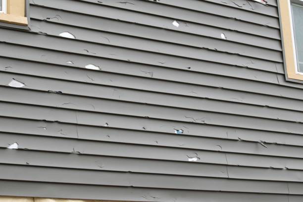 Best Recycling Services for Junk  in Baxter Estates, NY